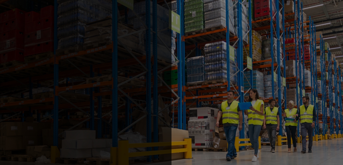 DisciplinedIndustrialDevelopment